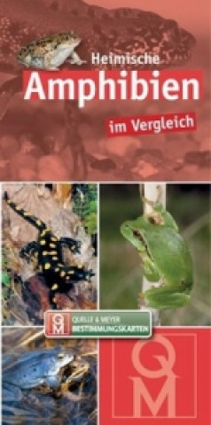 Książka Heimische Amphibien im Vergleich, Bestimmungskarten 