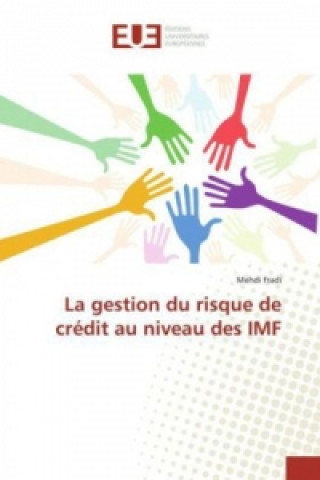 Könyv La gestion du risque de crédit au niveau des IMF Mehdi Fradi