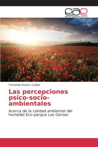 Book percepciones psico-socio-ambientales Alvarez Cuellar Fernando