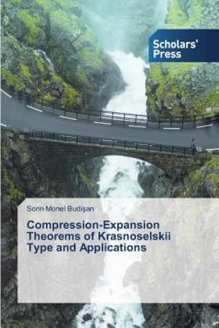 Carte Compression-Expansion Theorems of Krasnoselskii Type and Applications Budi an Sorin Monel