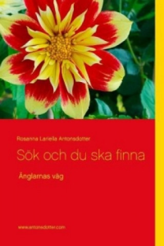 Book Sök och du ska finna Rosanna Lariella Antonsdotter