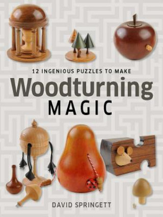 Knjiga Woodturning Magic David Springett