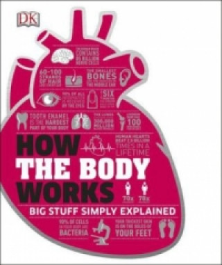 Kniha How the Body Works DK