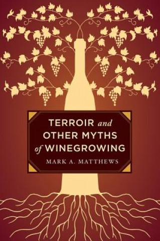 Buch Terroir and Other Myths of Winegrowing Mark A Matthews