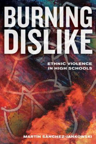 Könyv Burning Dislike Martin Sanchez-Jankowski