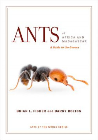 Kniha Ants of Africa and Madagascar Brian L Fisher
