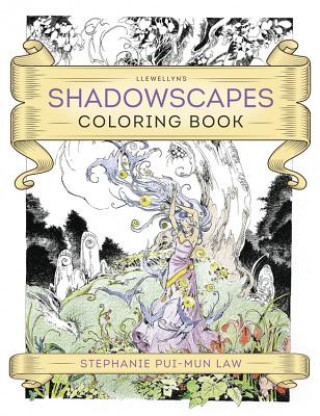 Carte Llewellyn's Shadowscapes Coloring Book Stephanie Pui Mun Law