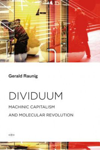 Buch Dividuum Gerald Raunig