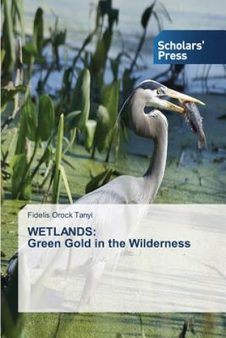 Carte Wetlands Tanyi Fidelis Orock