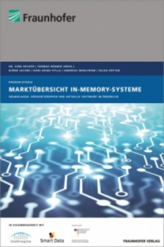 Könyv Marktübersicht In-Memory-Systeme Andreas Wohlfrom