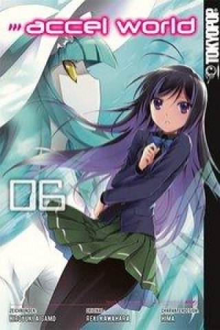 Knjiga Accel World. Bd.6. Bd.6 Reki Kawahara