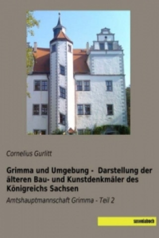 Libro Grimma und Umgebung - Darstellung der älteren Bau- und Kunstdenkmäler des Königreichs Sachsen Cornelius Gurlitt