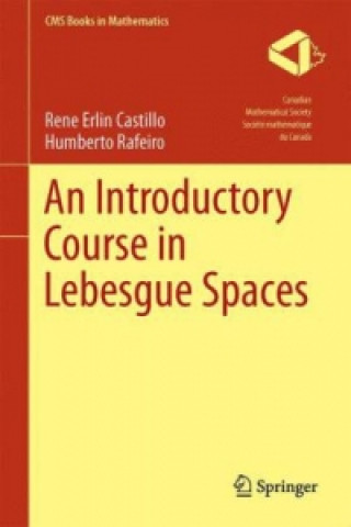 Carte Introductory Course in Lebesgue Spaces Rene Erlin Castillo