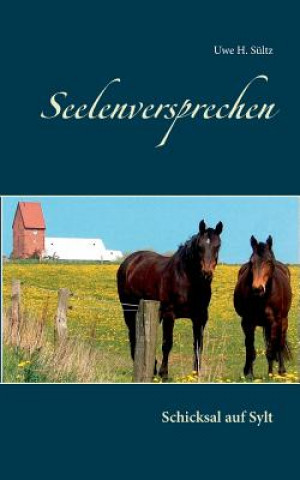 Buch Seelenversprechen Uwe H Sultz