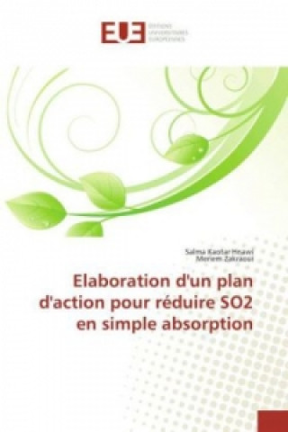 Kniha Elaboration d'un plan d'action pour réduire SO2 en simple absorption Salma Kaotar Hnawi