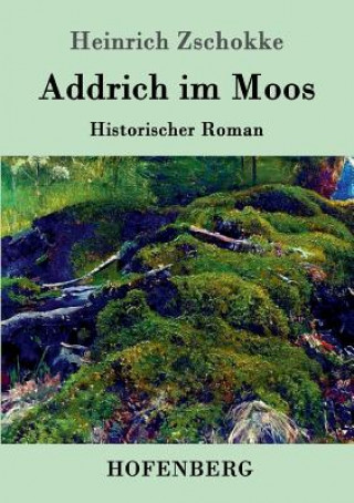 Könyv Addrich im Moos Heinrich Zschokke