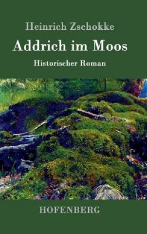 Kniha Addrich im Moos Heinrich Zschokke
