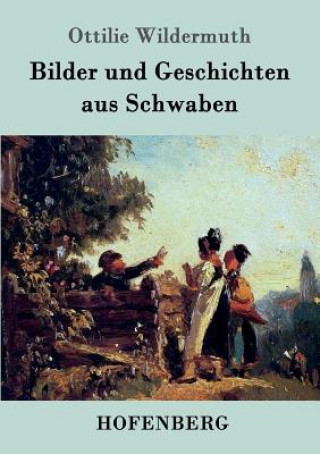 Buch Bilder und Geschichten aus Schwaben Ottilie Wildermuth