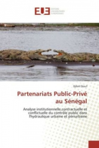 Carte Partenariats Public-Privé au Sénégal Djibril Diouf