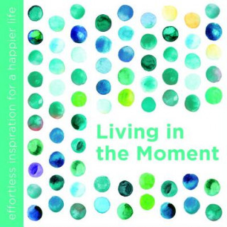Kniha Living in the Moment Dani DiPirro