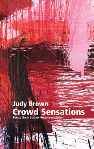 Book Crowd Sensations Judy Brown