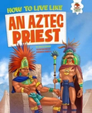 Buch Aztec Priest John Farndon