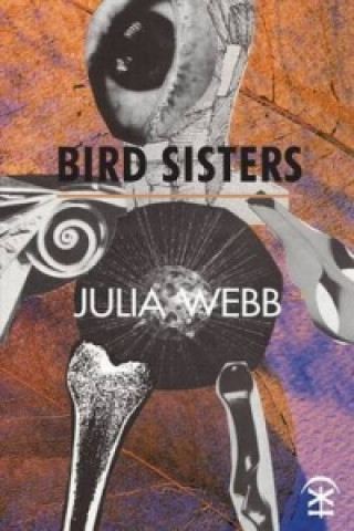 Kniha Bird Sisters Julia Webb