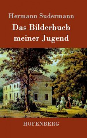 Buch Bilderbuch meiner Jugend Hermann Sudermann