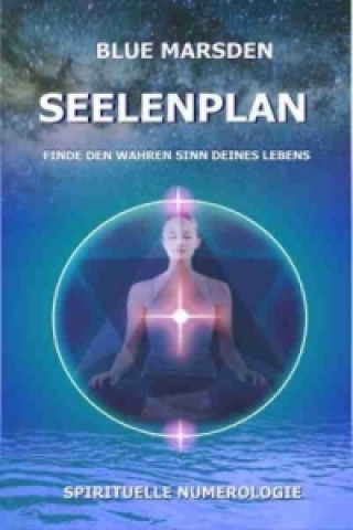 Kniha Seelenplan Blue Marsden