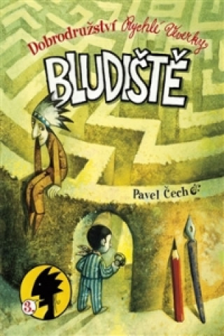 Könyv Bludiště Pavel Čech