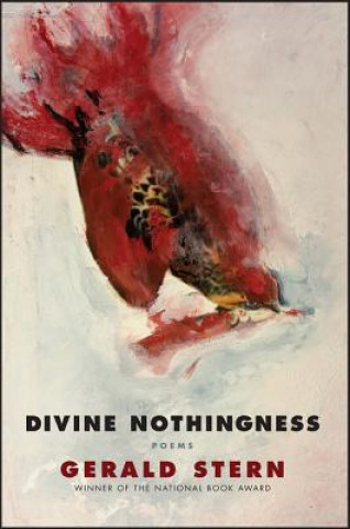 Kniha Divine Nothingness Gerald Stern