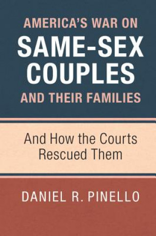Könyv America's War on Same-Sex Couples and their Families Daniel R. Pinello