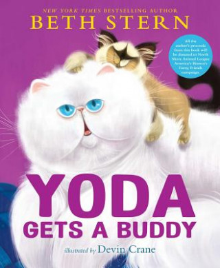 Knjiga Yoda Gets a Buddy Beth Stern