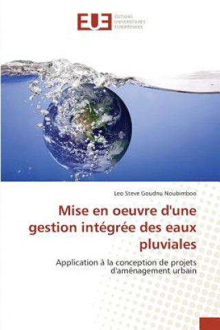 Livre Mise En Oeuvre Dune Gestion Integree Des Eaux Pluviales Noubimboo-L