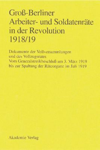 Könyv Gross-Berliner Arbeiter- Und Soldatenrate in Der Revolution 1918/19 Gerhard Engel