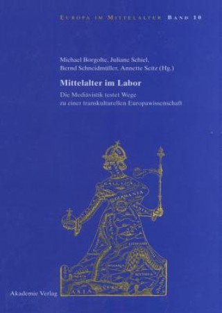 Kniha Mittelalter im Labor Michael Borgolte