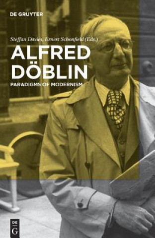 Libro Alfred Doeblin Steffan Davies