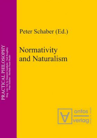 Könyv Normativity and Naturalism Peter Schaber