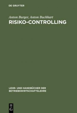 Kniha Risiko-Controlling Anton Burger