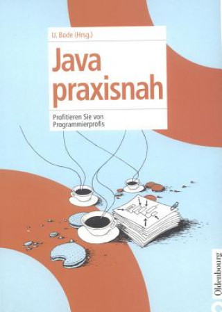 Buch Java praxisnah Ulrich Bode