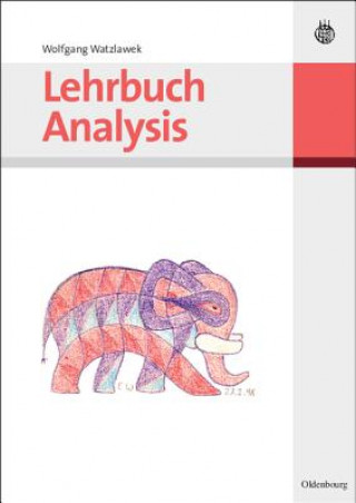 Buch Lehrbuch Analysis Wolfgang Watzlawek