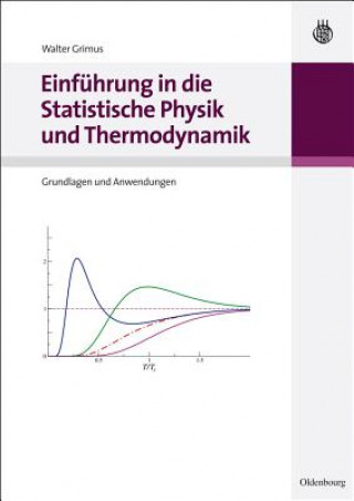 Könyv Einfuhrung in die Statistische Physik und Thermodynamik Walter Grimus