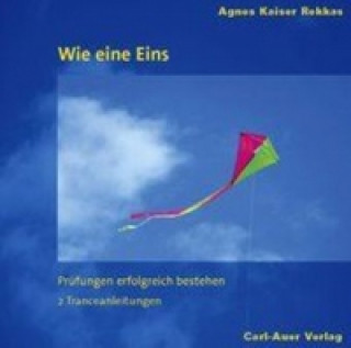 Audio Wie eine Eins, 1 Audio-CD Agnes Kaiser Rekkas