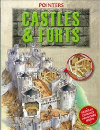 Kniha Castles and Forts Dawn Titmus