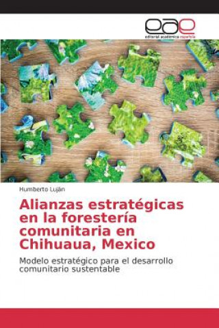 Book Alianzas estrategicas en la foresteria comunitaria en Chihuaua, Mexico Lujan Humberto