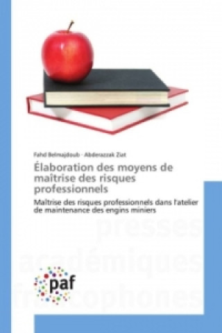 Buch Élaboration des moyens de maîtrise des risques professionnels Fahd Belmajdoub