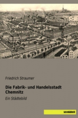 Kniha Die Fabrik- und Handelsstadt Chemnitz Friedrich Straumer