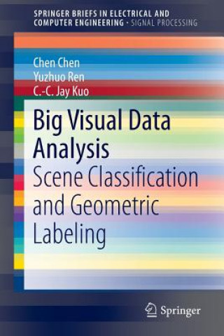 Knjiga Big Visual Data Analysis Chen Chen