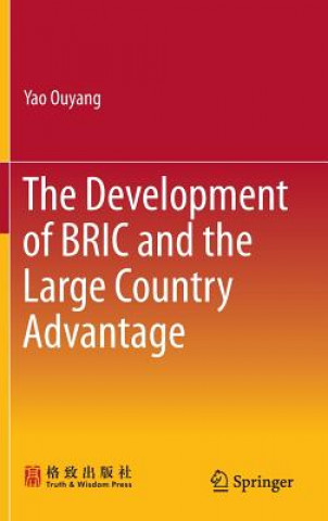 Könyv Development of BRIC and the Large Country Advantage Yao Ouyang