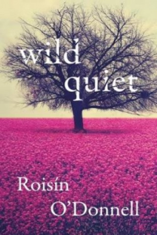 Kniha Wild Quiet Roisin ODonnell